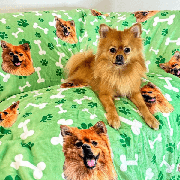 Face-on-Socks-Blanket-Feedback