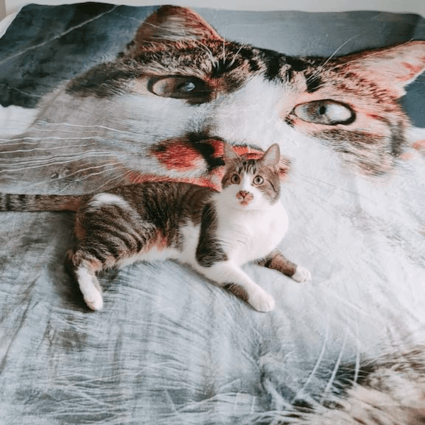 Face-on-Socks-Blanket-Feedback