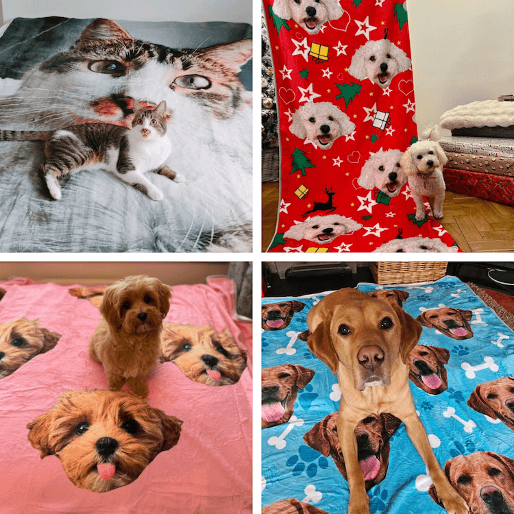 Face-on-Socks-Blanket-Feedback